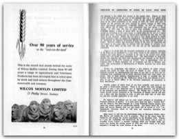 1956 Page 28 29